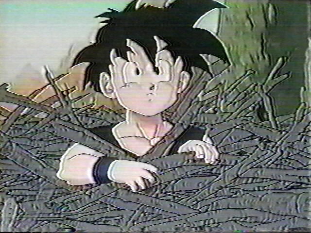 Dragonball OVA (30).jpg